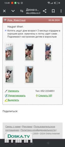 Отдадим в хорошие руки 3 Девочек и двух мальчиков.приученые к