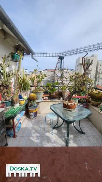 В поисках необычной квартиры с маммадом для большой семьи не