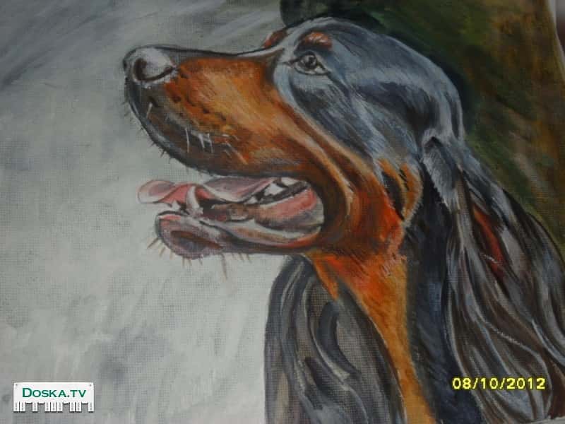 Картины на холсте, масло: кошки, собаки, лошади.