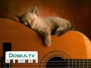 Испанская гитара ручной сборки.