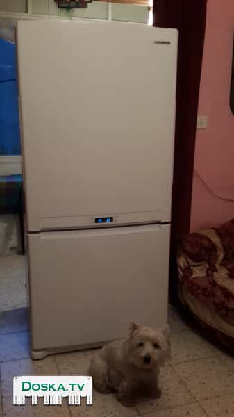 Двухкамерный холодильник 650 литров.  по случаю.