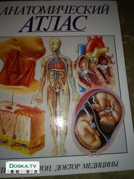 Тревор Уэстон Анатомический атлас Строение человеческого тела, Системы человеческого тела,