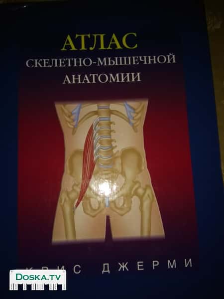 Крис Джерми. Атлас скелетно-мышечной анатомии М, АСТ: Астрель,2008