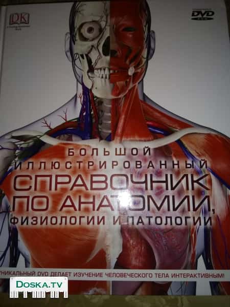 Стив Паркер Большой иллюстрированный справочник по анатомии, физиологии и патологии