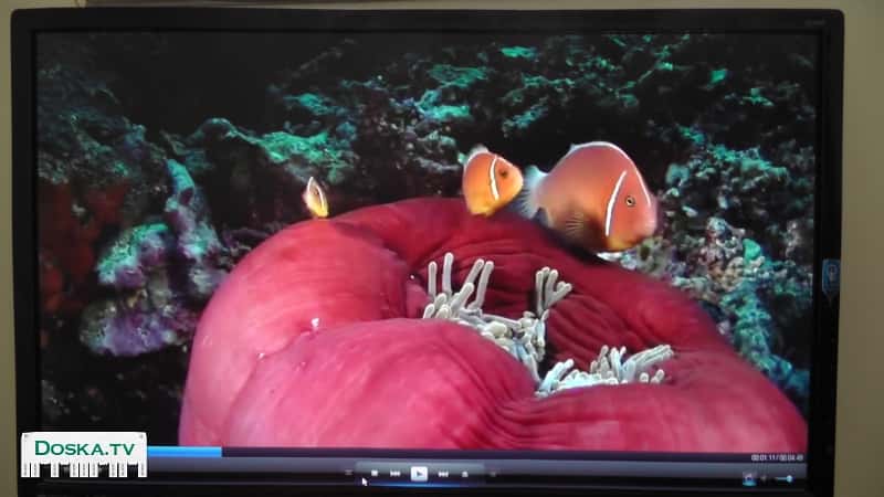 Работает прекрасно. Входы: VGA и DVI.