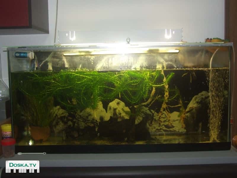 аквариум (примерно 120 литров) размер длина-96,5 высота-46,5 ширина-29,5 см не
