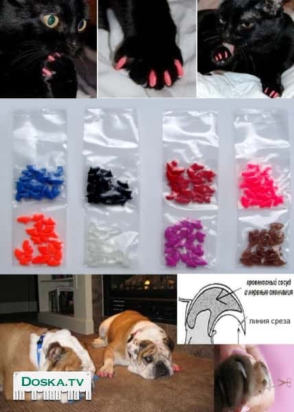 накладные силиконовые ногти для собак и кошек. Мягкие силиконовые