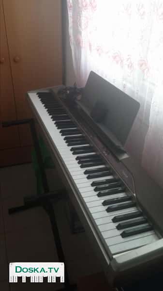 Описание Casio Privia PX-110 Casio Privia PX-110 (светл) (3 уровня