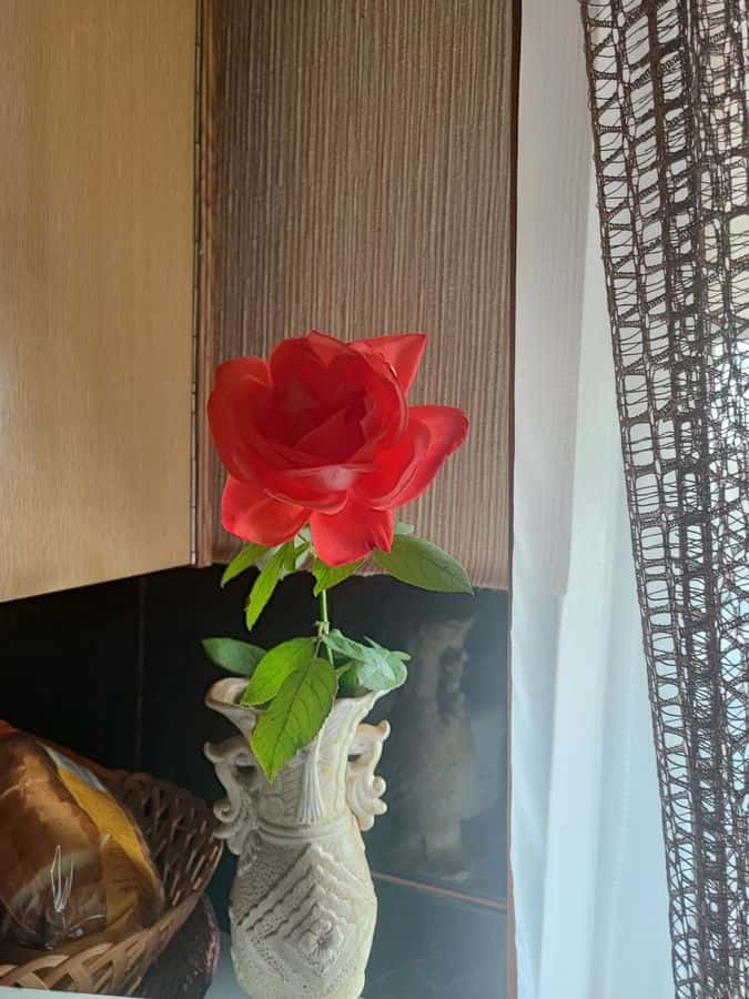 Съём квартиры 3,5 комнаты в Хайфе на улице бурла