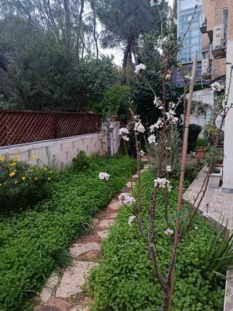 Аренда от хозяина, Ахуза Хайфа, возле больницы "Кармель"